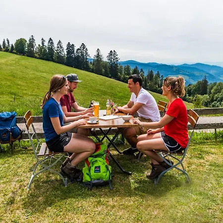 Almgasthaus Knoepflesbrunnen Vierbettzimmer 2 Apartamento Utzenfeld