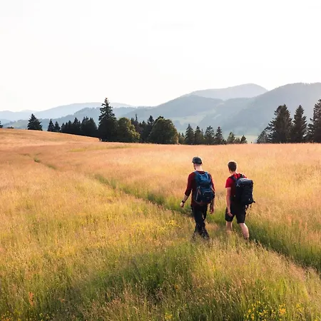 Almgasthaus Knoepflesbrunnen Vierbettzimmer 2 *