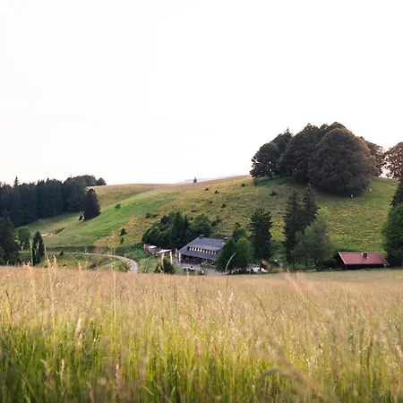 Almgasthaus Knoepflesbrunnen Vierbettzimmer 2 *